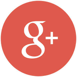 Google+